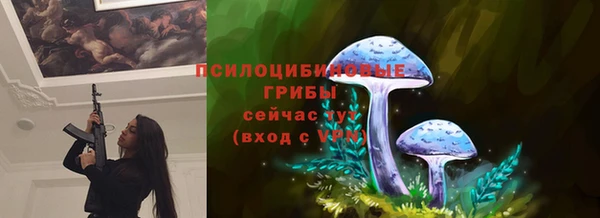 стаф Бронницы